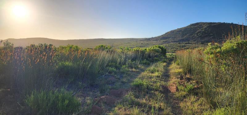 0 Bedroom Property for Sale in Albertinia Western Cape